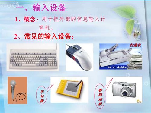 計算機硬件系統的組成與基本結構